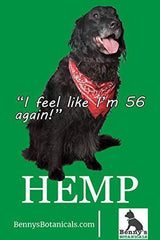 Benny's Hemp Oil for Dogs and Cats 250mg - Supports Anxiety Relief, Aging, and Joint Pain in Pets - 100% Organic, Natural, Grown & Made in USA