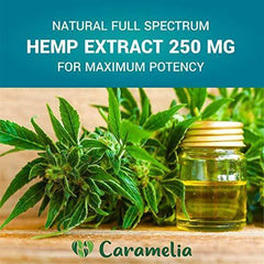 Hemp Extract Cream - 250 Mg - Made in USA - Natural Hemp Pain Relief Cream for Inflammation, Muscle, Joint, Back, Knee & Arthritis Pain - Hemp Salve Contains Arnica, MSM & 10% EMU Oil - Non-GMO