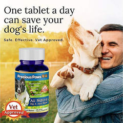All Natural Hip & Joint Pain Relief for Dogs Arthritis & Inflammation, for Mobility & Hip Dysplasia, Glucosamine, Turmeric, Boswellia, MSM & Chondroitin. 120 Beef Treats