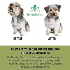 Tranquilo Pets Turmeric & Hemp Calming Treats for Dogs – Anxiety Support and Stress Relief - Bonus eBook - 100% Organic and Natural - Soft Chewy Roast Chicken Flavor – 100 Count