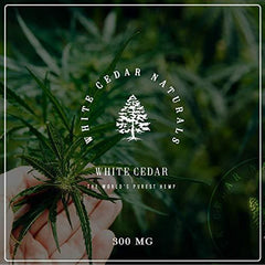 Organic Hemp Oil Extract for Pain & Stress Relief (300MG), Cinnamint Flavor, Full Spectrum, Blended with Organic Hemp Seed Oil for Optimal Absorption, CO2 Cold Extracted, Kosher, Non-GMO, 1oz.