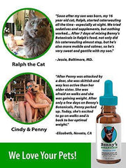 Benny's Hemp Oil for Dogs and Cats 250mg - Supports Anxiety Relief, Aging, and Joint Pain in Pets - 100% Organic, Natural, Grown & Made in USA