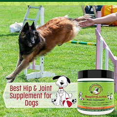 HempDogLicious Dog Joint Supplement Chews - Bacon Flavor Dog Joint Supplement Organic for Hip, Joint, Arthritis Pain, Skin, Coat and More, 90 Chews