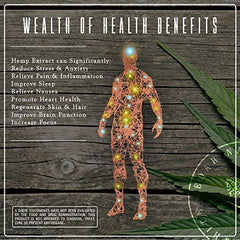 Organic Hemp Oil Extract for Pain & Stress Relief (600MG), Cinnamint Flavor, Full Spectrum, Blended with Organic Hemp Seed Oil for Optimal Absorption, CO2 Cold Extracted, Kosher, Vegan, GF, 1oz.