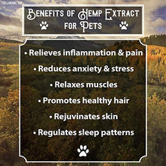 R+R Medicinals Hemp Oil for Dogs :: Hemp Oil for Pets :: Hemp Oil for Cats :: Hemp Oil for Stress Relief, Anxiety, Pain, Calming Relief (300mg, 10mg Serving x 30 Servings)